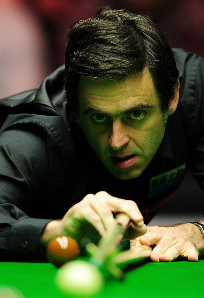 可验证的专 可验证的专